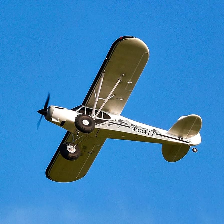 Amazon.com: Fms Rc Airplanes for Adults Remote Control